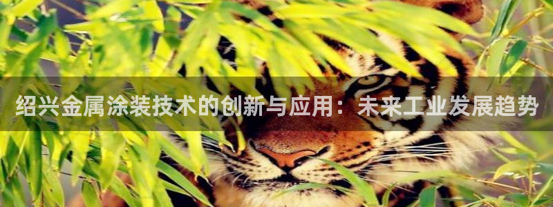 美高梅酒店是哪个国家