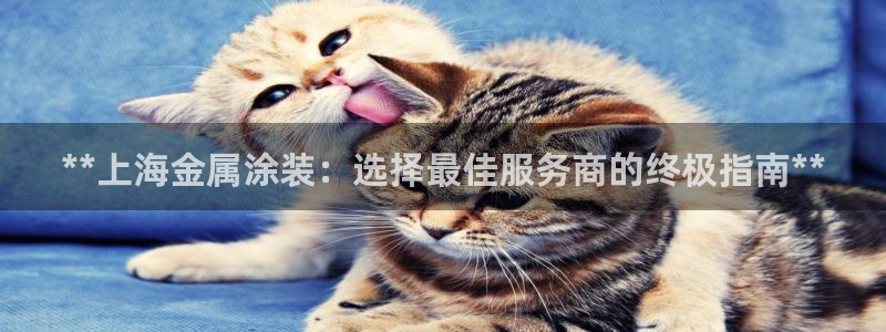 美高梅股票价格