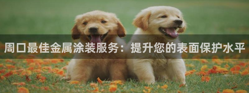 美高梅集团老板