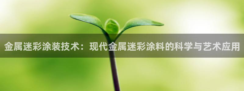 鲁能钓鱼台美高梅别墅