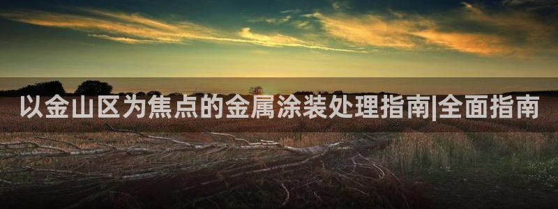 美高梅别墅在哪里：以金山区为焦点的金属涂