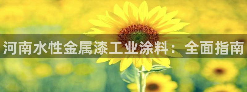 美高梅儿童泳池关闭