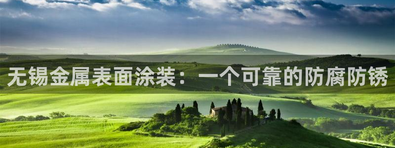 美高梅全球几家