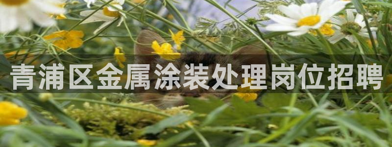 美高梅酒店属于哪个集团