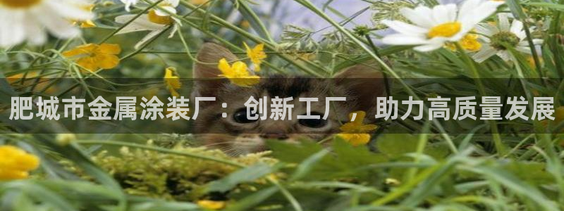 美高梅酒店图片