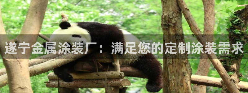 美高梅是上市公司吗