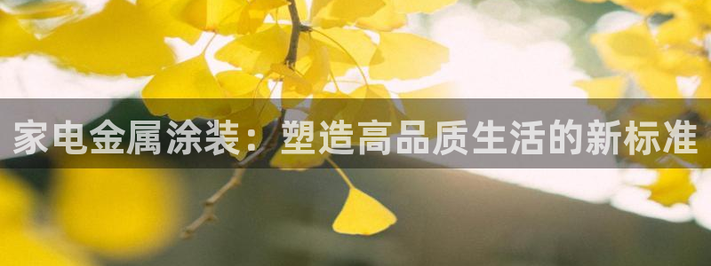 美狮美高梅酒店二楼水疗