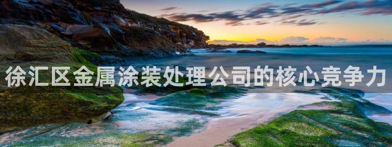 美高梅酒店老板