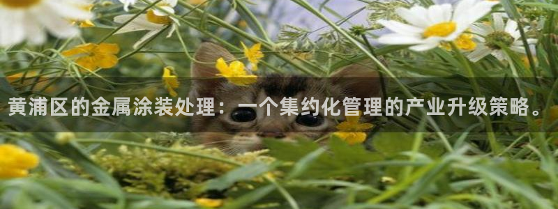 美高梅会员卡办理要提供港澳通行证吗