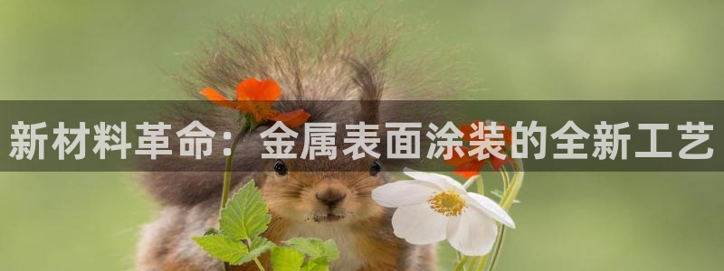 美高梅别墅是精装吗