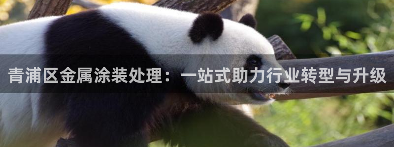 美狮美高梅酒店跟铁塔近吗