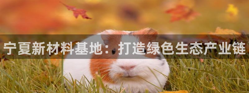 美狮美高梅酒店客房