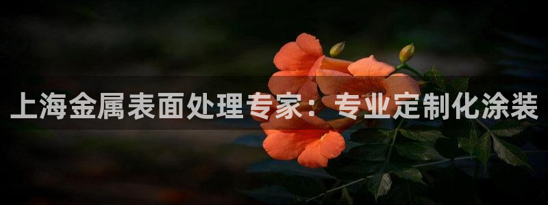 美高梅客服联系方法是什么