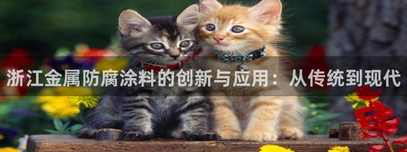 美高梅国际集团简介