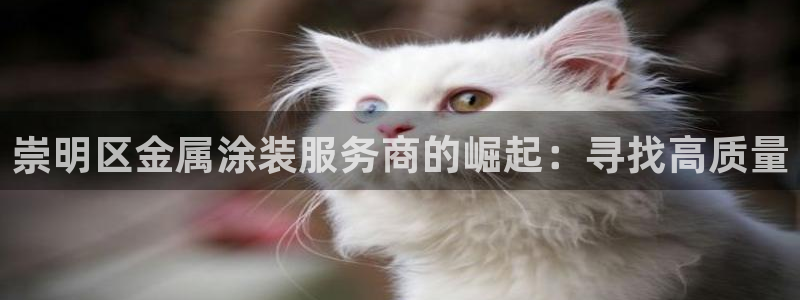 美高梅会员卡初始密码多少