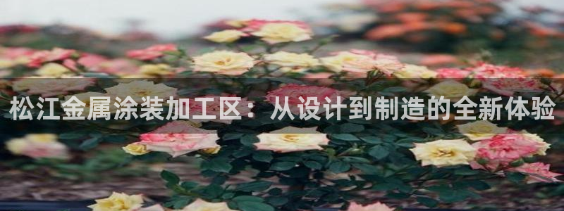 美高梅属于什么档次的品牌