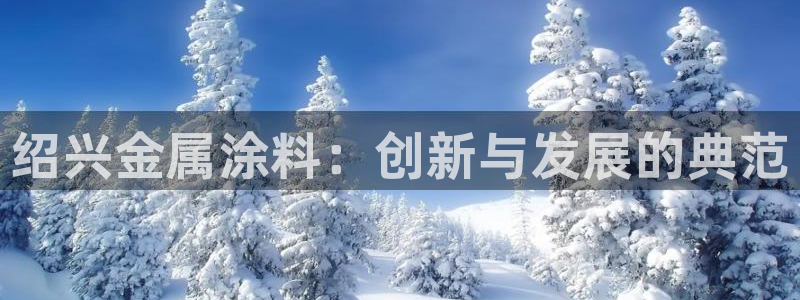 美高梅中国有限公司