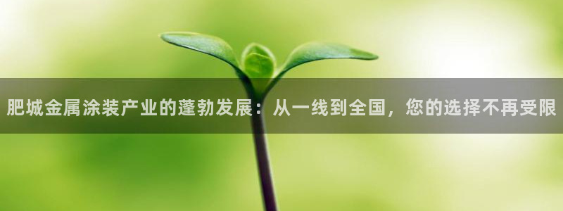 美高梅儿童乐园收费