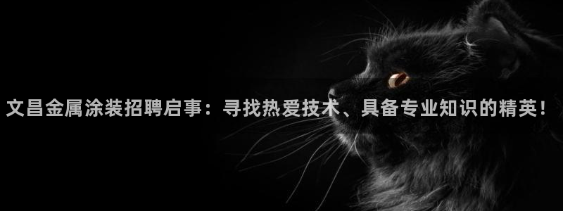 美高梅附近有哪些酒店